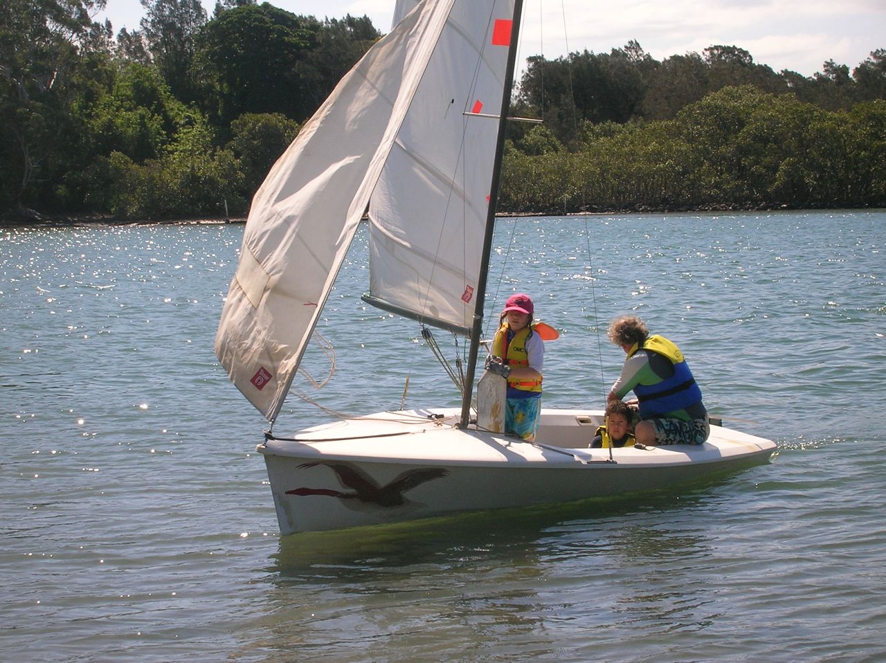 Taser Sailing Boat